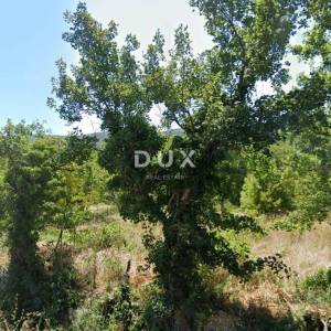 DRIVENIK - poljoprivredno zemljište – 2 parcele 967 m², 70 m od ceste, blizina mora!