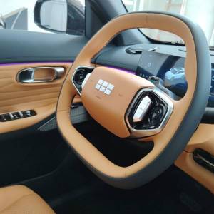 Geely Starray EM-i MAX EM-I 1.5 GAS PHEV A/T FWD