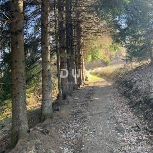 GORSKI KOTAR, DELNICE, OKOLICA - Kuća na rubu nacionalnog parka