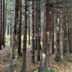 GORSKI KOTAR, HLEVCI - Prodaja građevinskog zemljišta