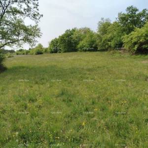Građevinsko zemljište 3.528 m² ,  u blizini Grožnjana