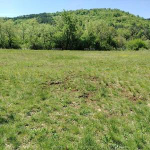 Građevinsko zemljište 3.528 m² ,  u blizini Grožnjana