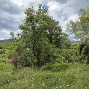 Imotski Poljica 1398 m2 građevinsko zemljište - novo u ponudi
