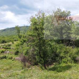 Imotski Poljica 1398 m2 građevinsko zemljište - novo u ponudi
