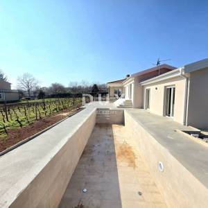 ISTRA, BARBAN - Novoizgrađena obiteljska prizemna vila, okružena vinogradom za dugoročni najam