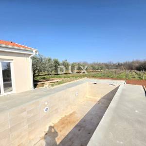 ISTRA, BARBAN - Novoizgrađena obiteljska prizemna vila, okružena vinogradom za dugoročni najam