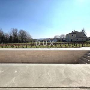 ISTRA, BARBAN - Novoizgrađena obiteljska prizemna vila, okružena vinogradom za dugoročni najam