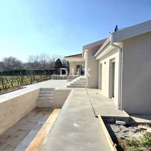 ISTRA, BARBAN - Novoizgrađena obiteljska prizemna vila, okružena vinogradom za dugoročni najam