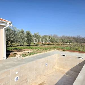 ISTRA, BARBAN - Novoizgrađena obiteljska prizemna vila, okružena vinogradom za dugoročni najam