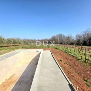 ISTRA, BARBAN - Novoizgrađena obiteljska prizemna vila, okružena vinogradom za dugoročni najam
