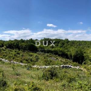 ISTRA, BARBAN - Prostrano zemljište s građevinskom dozvolom