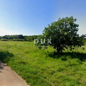 ISTRA, BARBAN - Tri zemljišta s građevinskim dozvolama na rubu naselja
