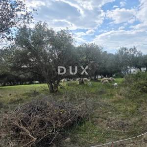ISTRA, BUJE - Građevinsko zemljište s panoramskim pogledom