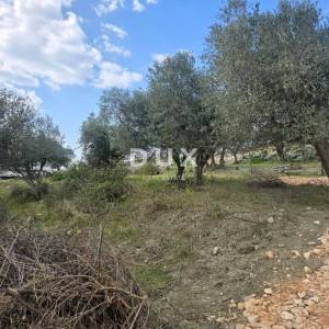 ISTRA, BUJE - Građevinsko zemljište s panoramskim pogledom