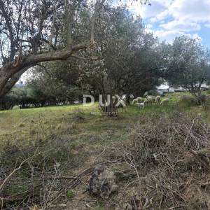 ISTRA, BUJE - Građevinsko zemljište s panoramskim pogledom