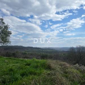 ISTRA, BUJE - Građevinsko zemljište s panoramskim pogledom