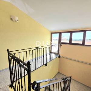 ISTRA, GALIŽANA – Apartmanska vila s maslinikom, krovnom terasom i panoramskim pogledom na more i Brijune