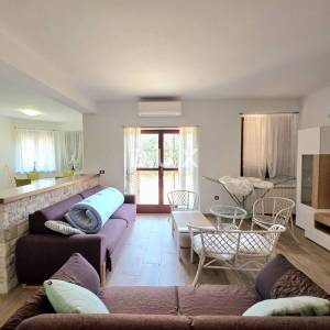 ISTRA, GALIŽANA – Apartmanska vila s maslinikom, krovnom terasom i panoramskim pogledom na more i Brijune