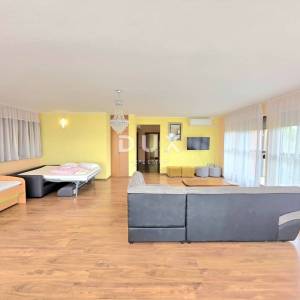 ISTRA, GALIŽANA – Apartmanska vila s maslinikom, krovnom terasom i panoramskim pogledom na more i Brijune