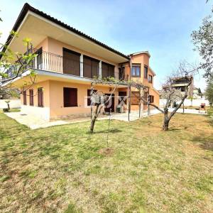 ISTRA, GALIŽANA – Apartmanska vila s maslinikom, krovnom terasom i panoramskim pogledom na more i Brijune