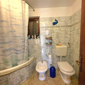 ISTRA, GALIŽANA – Apartmanska vila s maslinikom, krovnom terasom i panoramskim pogledom na more i Brijune