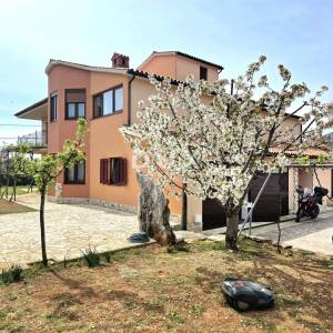 ISTRA, GALIŽANA – Apartmanska vila s maslinikom, krovnom terasom i panoramskim pogledom na more i Brijune
