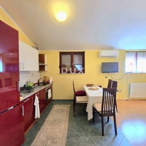ISTRA, GALIŽANA – Apartmanska vila s maslinikom, krovnom terasom i panoramskim pogledom na more i Brijune