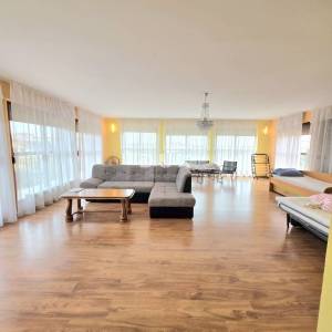 ISTRA, GALIŽANA – Apartmanska vila s maslinikom, krovnom terasom i panoramskim pogledom na more i Brijune