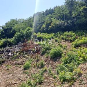 ISTRA, GROŽNJAN - Građevinsko zemljište na osami s panoramskim pogledom