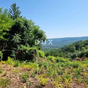 ISTRA, GROŽNJAN - Građevinsko zemljište na osami s panoramskim pogledom