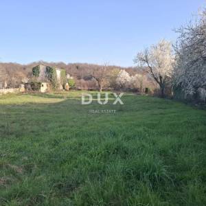 ISTRA, KANFANAR - Autohtono istarsko imanje