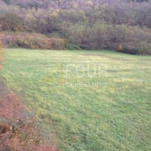 Istra, Kanfanar, poljoprivredno zemljište 13.270m2