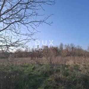 ISTRA, KANFANAR - Veliko poljoprivredno zemljište 