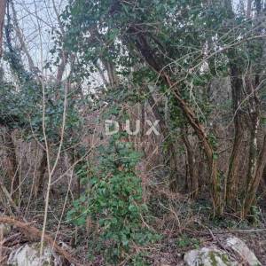 ISTRA, LABIN - Hrastova šuma za siječu, 9.675m2 PRILIKA