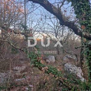 ISTRA, LABIN - Hrastova šuma za siječu 21.304m2, PRILIKA