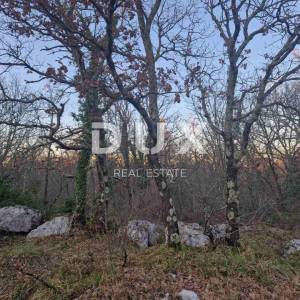 ISTRA, LABIN - Hrastova šuma za siječu 21.304m2, PRILIKA