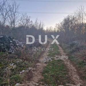 ISTRA, LABIN - Hrastova šuma za siječu 21.304m2, PRILIKA