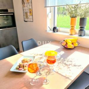 ISTRA, LABIN- Niskoenergetska vila s bazenom i ograđenom okućnicom od 900m2