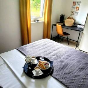 ISTRA, LABIN- Niskoenergetska vila s bazenom i ograđenom okućnicom od 900m2