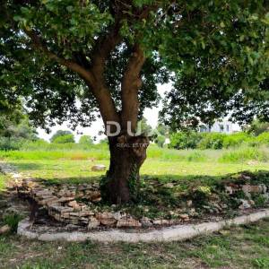 ISTRA, LIŽNJAN - Zemljište s građevinskom dozvolom u blizini mora