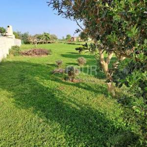 Istra, Loborika, građevinsko zemljište 1.305m2