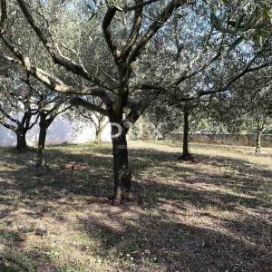 ISTRA, MEDULIN - Građevinsko zemljište nadohvat mora