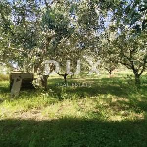  ISTRA, MEDULIN - Poljoprivredno zemljište 1508 m2