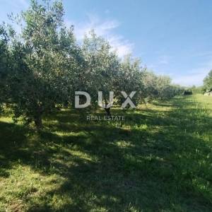  ISTRA, MEDULIN - Poljoprivredno zemljište 1508 m2
