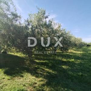  ISTRA, MEDULIN - Poljoprivredno zemljište 1508 m2