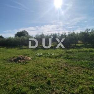  ISTRA, MEDULIN - Poljoprivredno zemljište 1508 m2