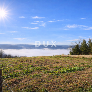 ISTRA, MOTOVUN - Predivno građevinsko zemljište