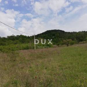 ISTRA, MOTOVUN - Prostrano građevinsko zemljište