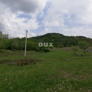 ISTRA, MOTOVUN - Prostrano građevinsko zemljište