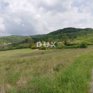 ISTRA, MOTOVUN - Prostrano zemljište mještovite namjene